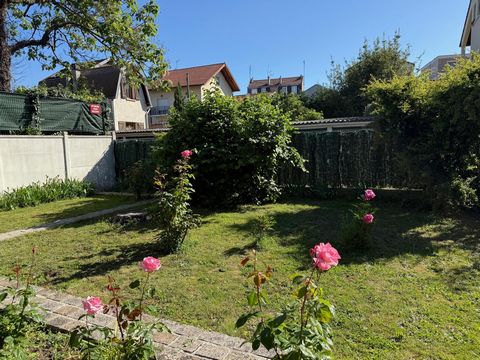 photo no. 13