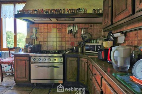 photo no. 12