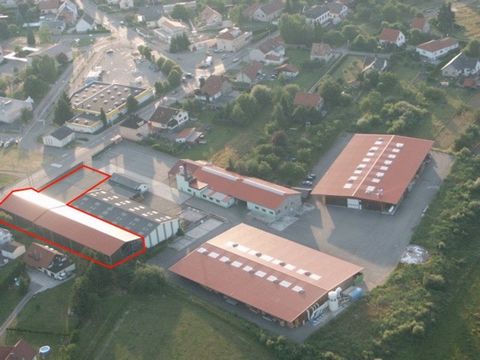 ? À VENDRE Locaux professionnels de 1100 m² avec parking privatif LEMBERG (57620)