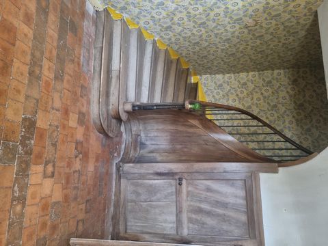 photo no. 5