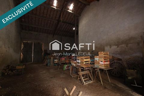 photo no. 2