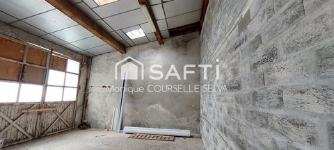 photo no. 3