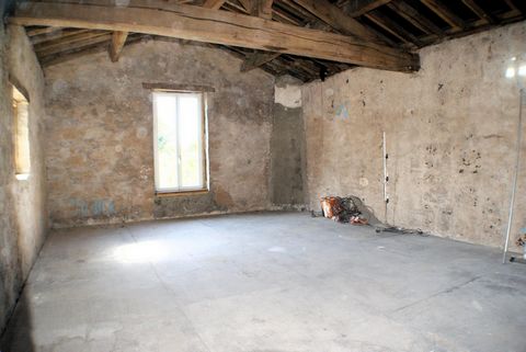 photo no. 6