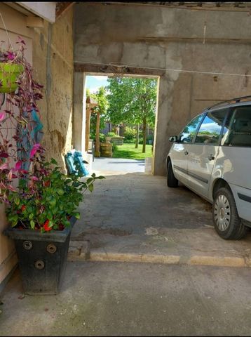 photo no. 6