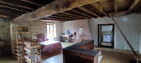 photo no. 12