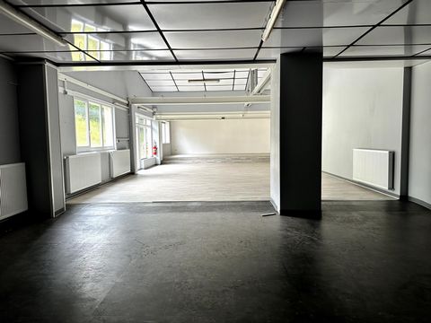 photo no. 5