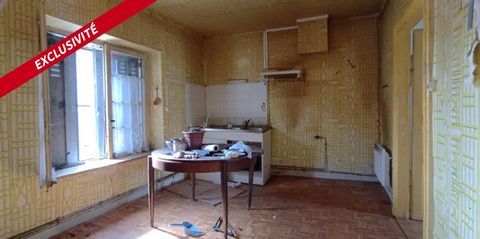 photo no. 10