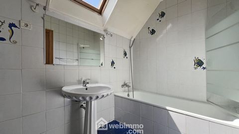 photo no. 10