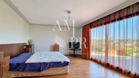 photo no. 13