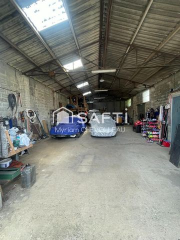 photo no. 11