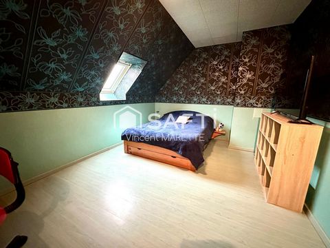 photo no. 8
