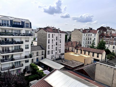 photo no. 8