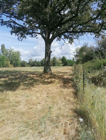 photo no. 3