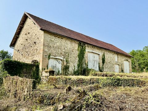 photo no. 2