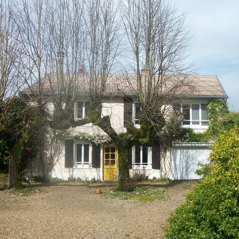 photo no. 19