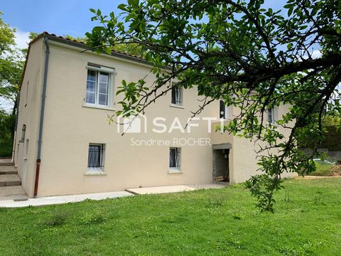 photo no. 10