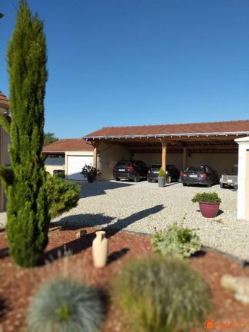 photo no. 15