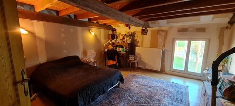 photo no. 11