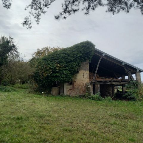 photo no. 2