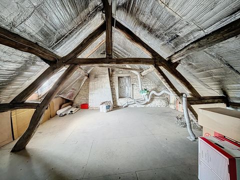photo no. 9