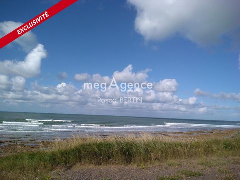 photo no. 17