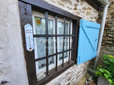 photo no. 8