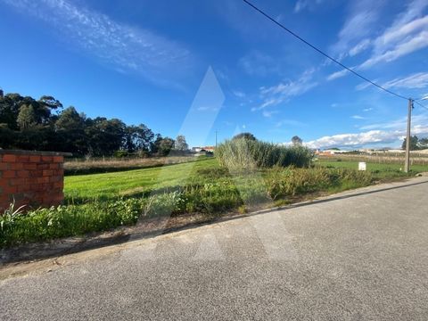 Apresentamos uma excelente oportunidade para a construção da sua casa de sonho em Fermentelos, uma vila tranquila que combina a serenidade do campo com a proximidade a áreas urbanas. Dois terrenos urbanos para construção em Fermentelos, situados numa...