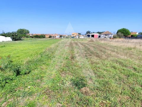 Terreno urbanizável localizado em Santo António de Vagos, concelho de Vagos. Com possibilidade para construção de uma ou duas moradias unifamiliar. Este terreno dispõe de uma área total de 1750m2 e conta com duas frentes, uma com cerca de16 metros e ...