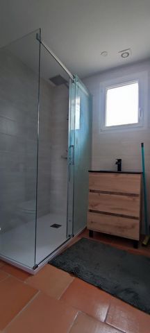 photo no. 12