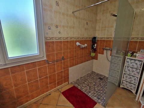 photo no. 16