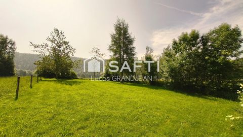 photo no. 1