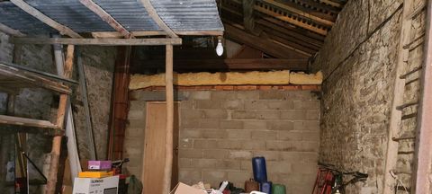 photo no. 9