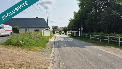 photo no. 6