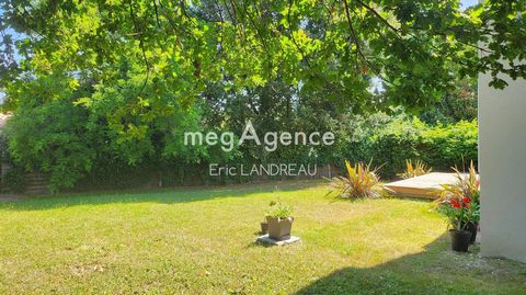 photo no. 13