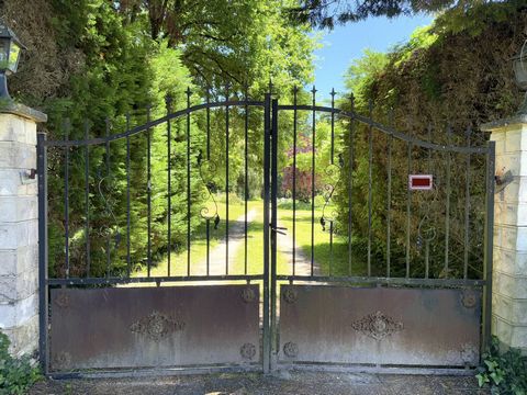 photo no. 5