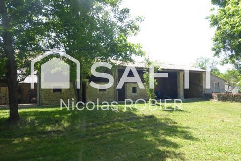 photo no. 11