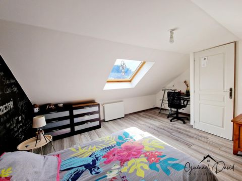 photo no. 8
