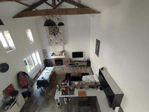 photo no. 3