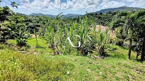 Terrain 445 m² VAUCLIN