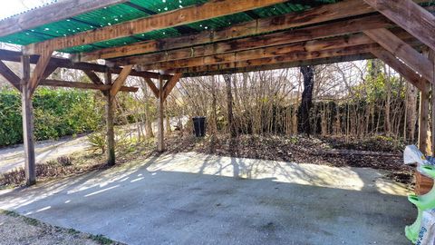 photo no. 19
