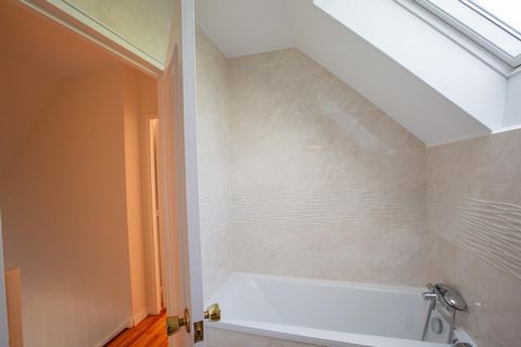 photo no. 15