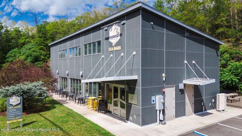 The Ultimate Creative Compound where vision takes shape. 2 Buildings for sale include a full service photo studio with professional chef's kitchen built in 2024 and multi use building with outdoor space built in 2011. Positioned on the bustling Route...