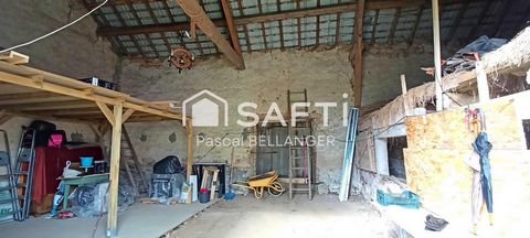 photo no. 9