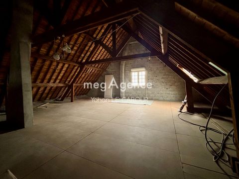 photo no. 10