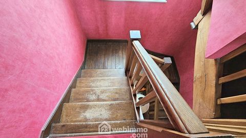 photo no. 11