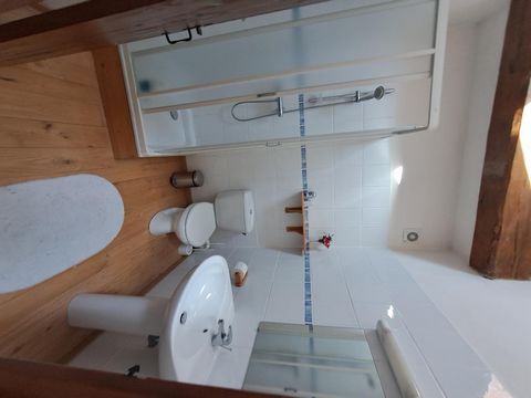 photo no. 6