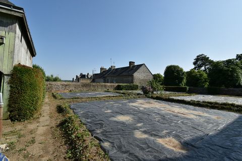 photo no. 2