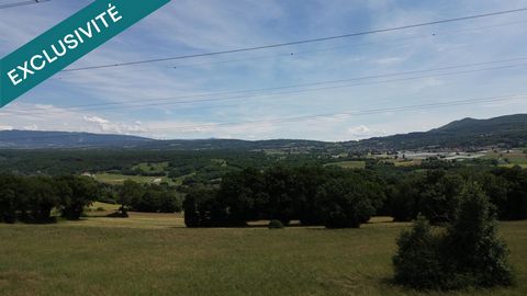 photo no. 2