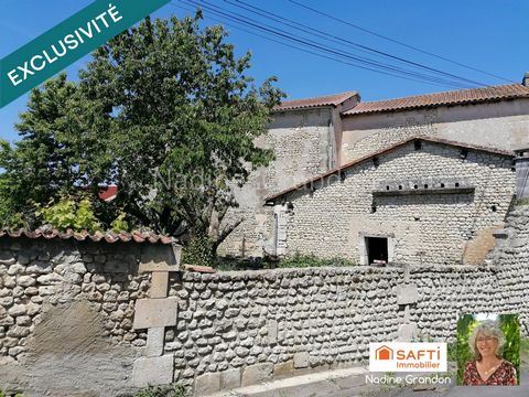 photo no. 13