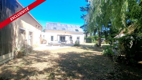 photo no. 12